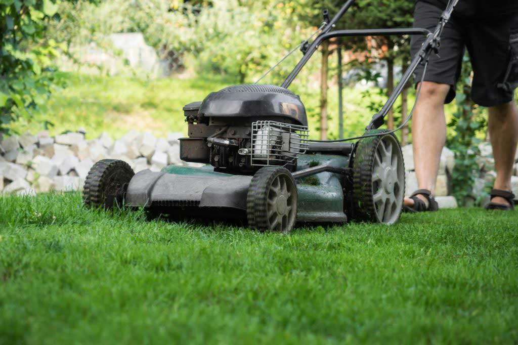 protecting your lawn in the summer