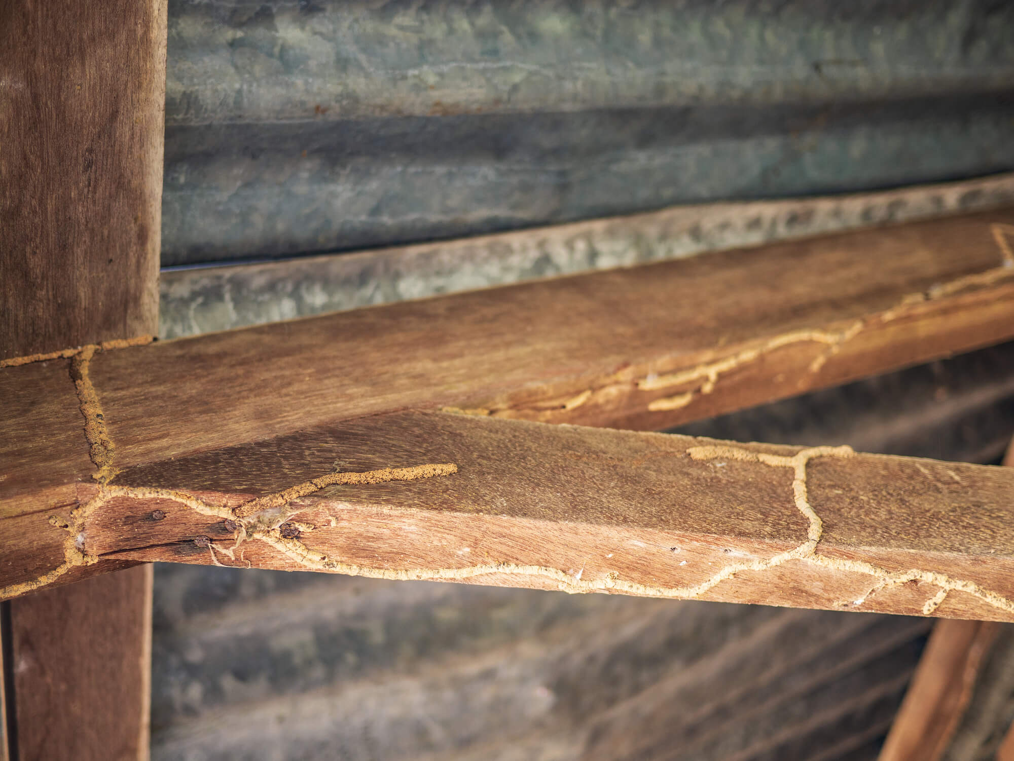 ancillary inspection services