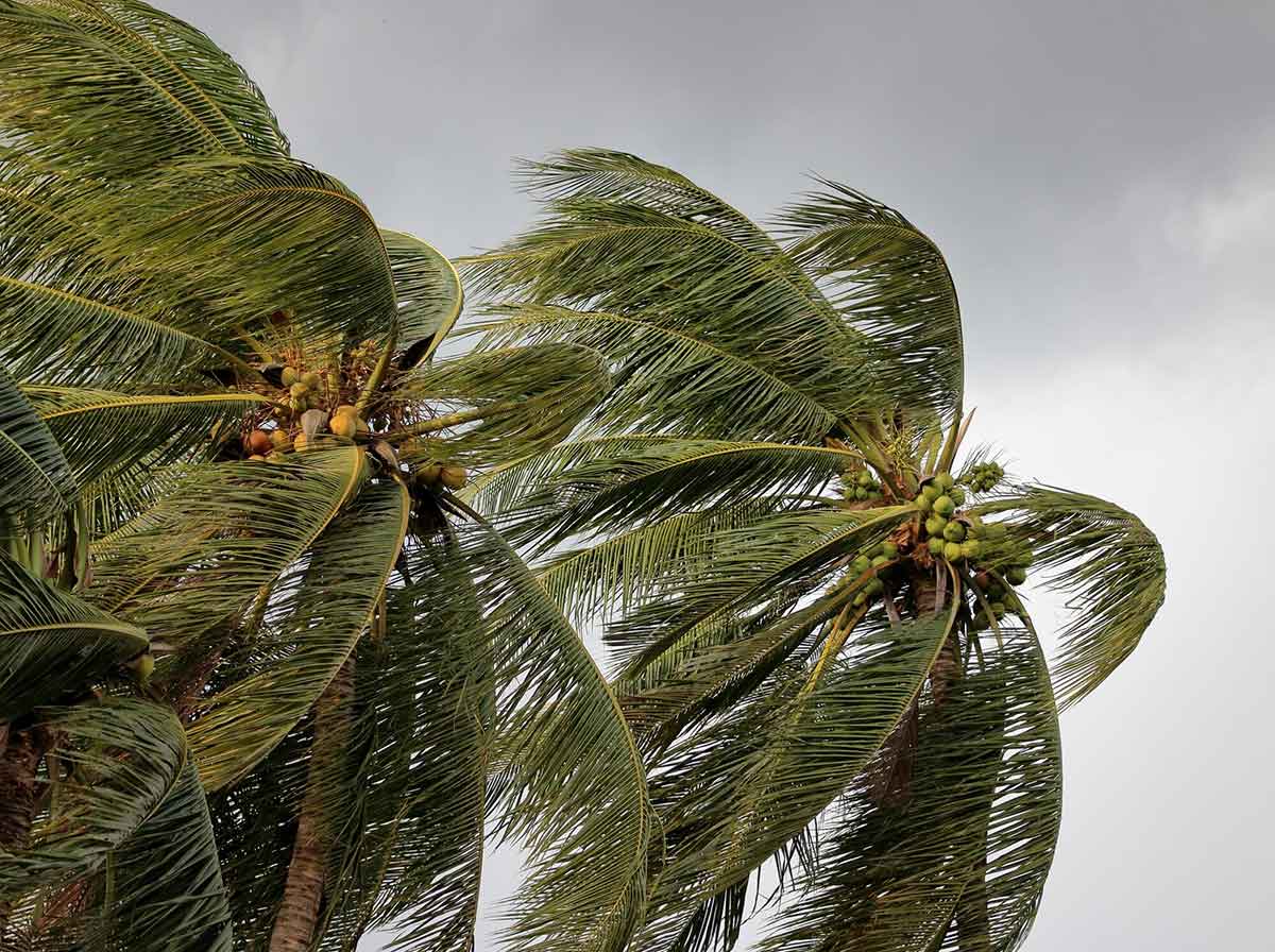 wind mitigation inspection